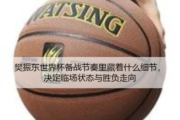樊振东世界杯备战节奏里藏着什么细节，决定临场状态与胜负走向