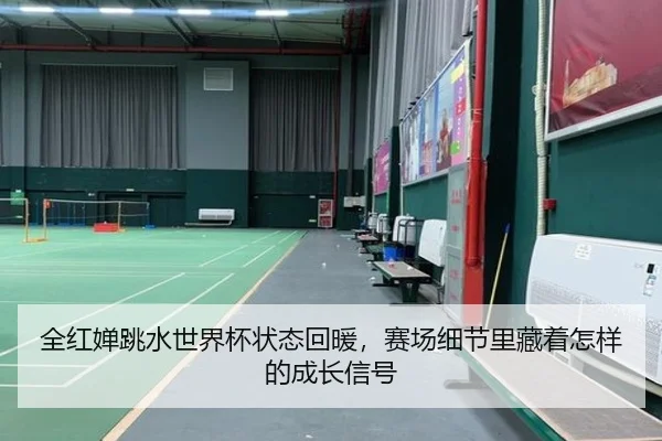 全红婵跳水世界杯状态回暖，赛场细节里藏着怎样的成长信号